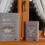 In With Wifi * Mittelberg